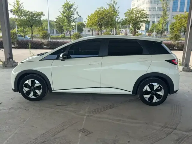 BYD Dolphin 2024 Glory Edition 420km Fashion Edition — Фото автомобиля 6