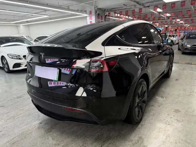 Tesla Model Y — Фото автомобиля 8