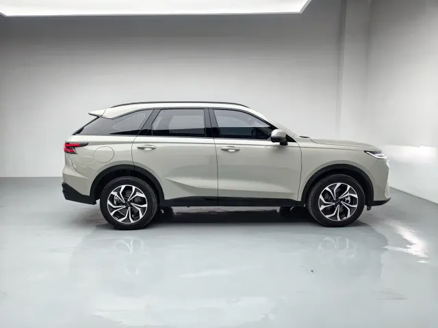 Haval Xiaolong MAX — Фото автомобиля 9