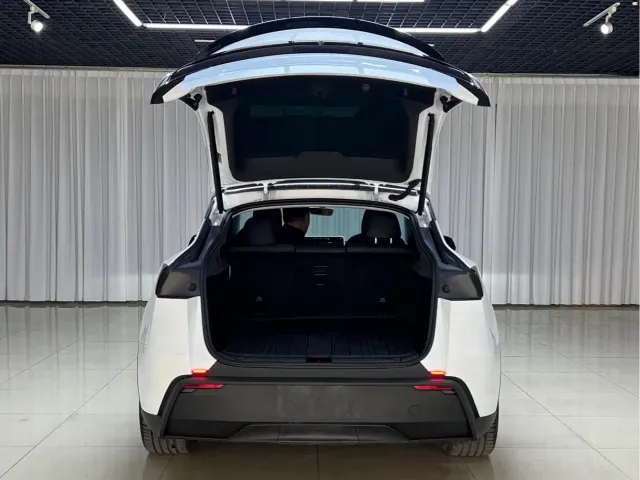 Tesla Model Y — Фото автомобиля 6