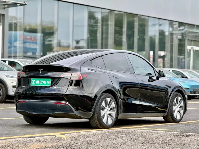Tesla Model Y — Фото автомобиля 10