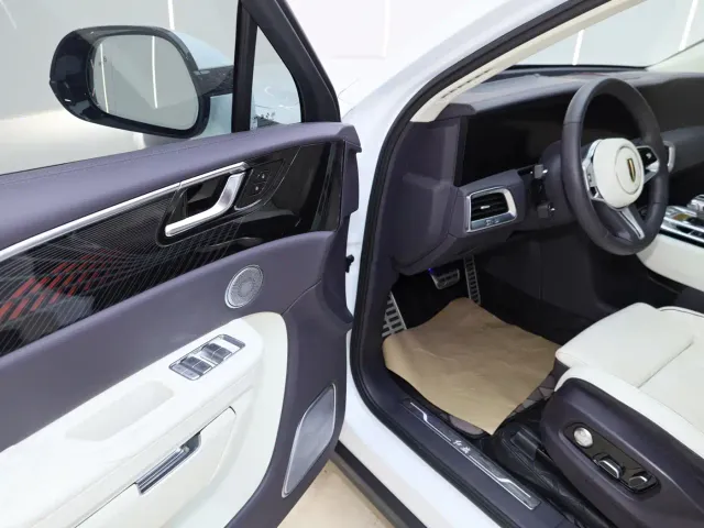 Hongqi E-HS9 — Фото автомобиля 29
