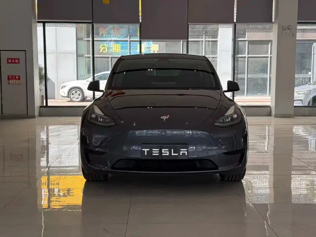 Tesla Model Y — Фото автомобиля 3