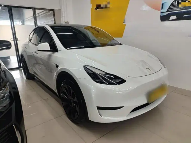 Tesla Model Y — Фото автомобиля 3