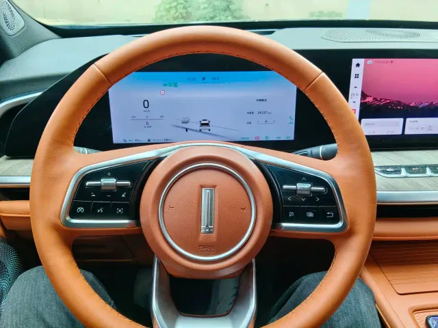 WEY Wey Lanshan 2023 2WD Long Range Edition — Фото автомобиля 13