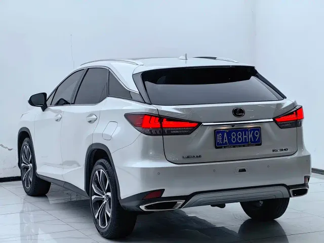 Lexus RX — Фото автомобиля 19