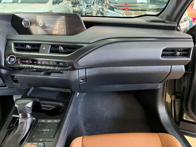 Lexus UX — Фото автомобиля 14