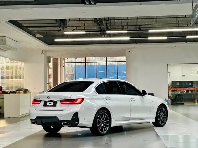 BMW 3 Series — Фото автомобиля 9