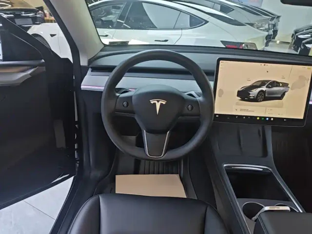 Tesla Model Y — Фото автомобиля 10