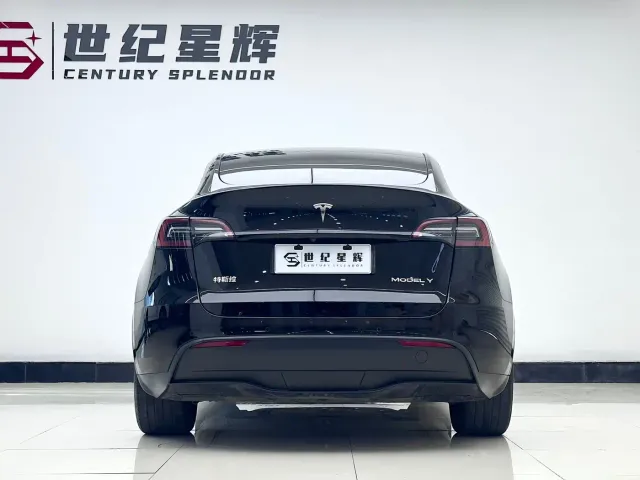 Tesla Model Y — Фото автомобиля 7