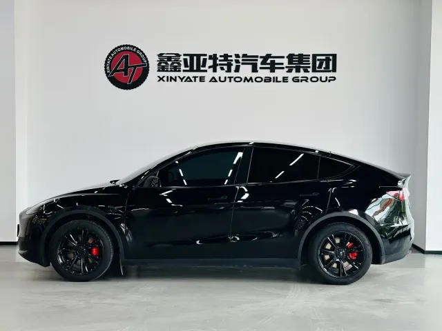 Tesla Model Y — Фото автомобиля 3