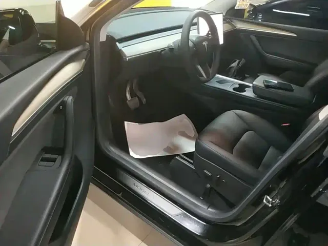 Tesla Model Y — Фото автомобиля 15