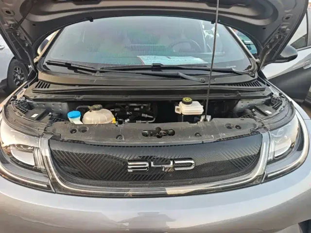 BYD Dolphin — Фото автомобиля 19