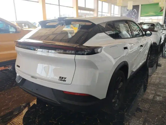 Dongfeng SKY EV01 — Фото автомобиля 6