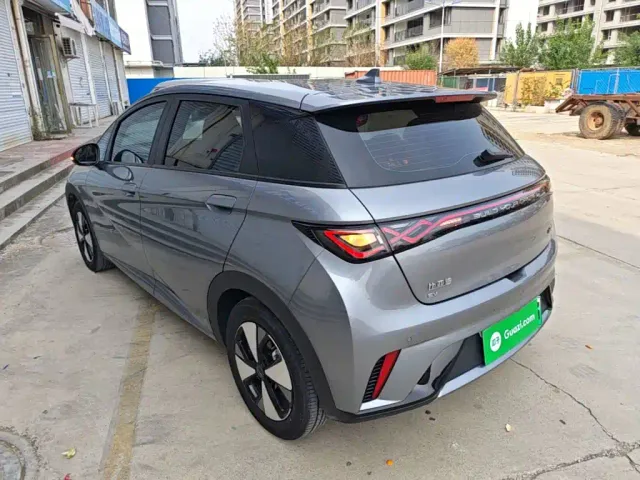 BYD Dolphin 2024 Glory Edition 420km Freedom Edition — Фото автомобиля 4