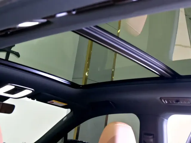 Li Auto Li ONE 2021 Extended Range 6-Seater — Фото автомобиля 22