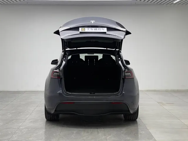 Tesla Model Y — Фото автомобиля 10
