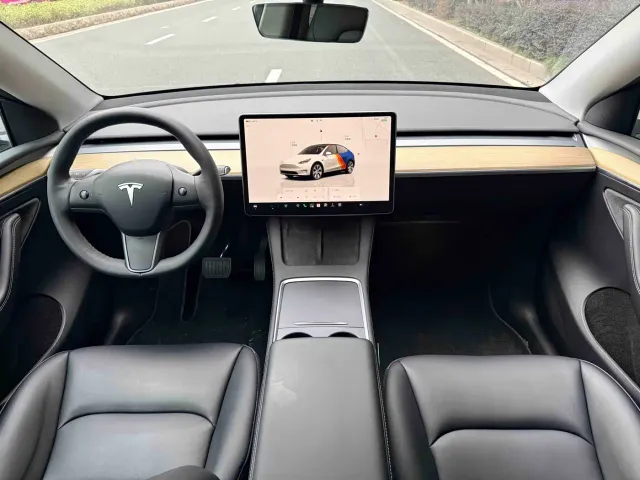 Tesla Model Y — Фото автомобиля 13
