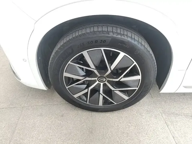 GAC Trumpchi Xiangwang S9 — Фото автомобиля 24