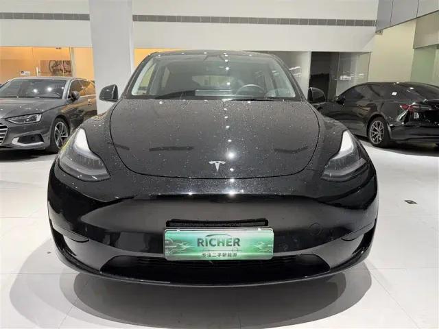 Tesla Model Y — Фото автомобиля 2