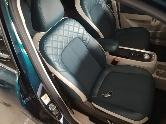 Ora Good Cat — Фото автомобиля 19