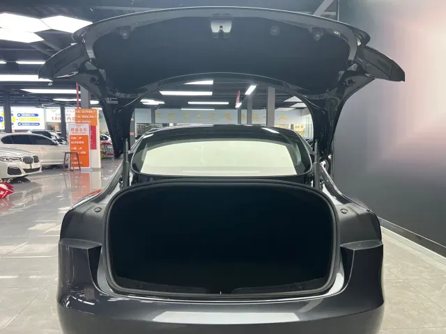 Tesla Model 3 — Фото автомобиля 20