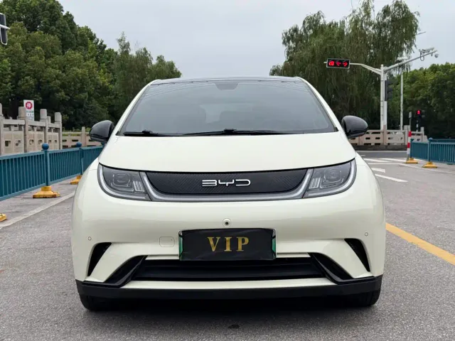 BYD Dolphin — Фото автомобиля 2