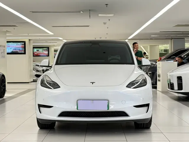 Tesla Model Y — Фото автомобиля 2