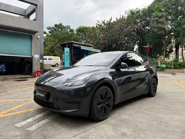Tesla Model Y — Фото автомобиля 3