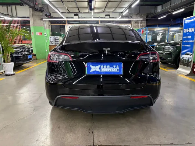 Tesla Model Y — Фото автомобиля 6