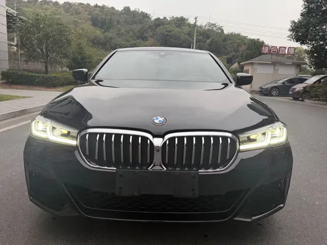 BMW 5 Series — Фото автомобиля 3