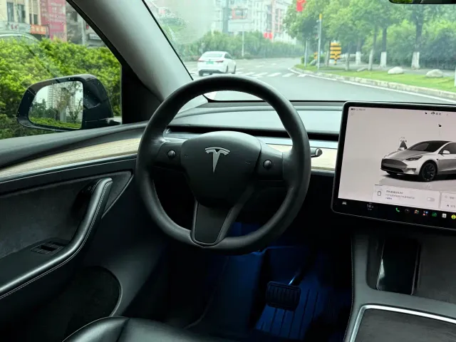 Tesla Model Y — Фото автомобиля 13
