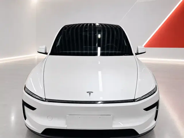 Tesla Model Y — Фото автомобиля 2