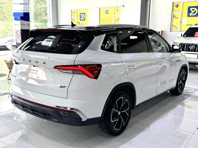Skoda Kamiq — Фото автомобиля 12
