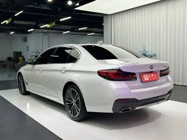 BMW 5 Series — Фото автомобиля 11