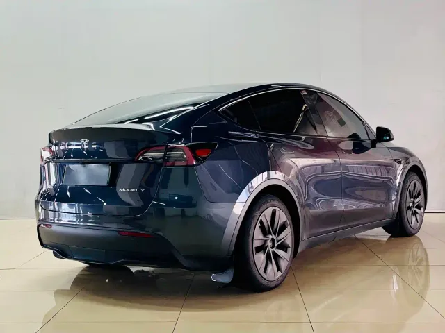 Tesla Model Y — Фото автомобиля 6