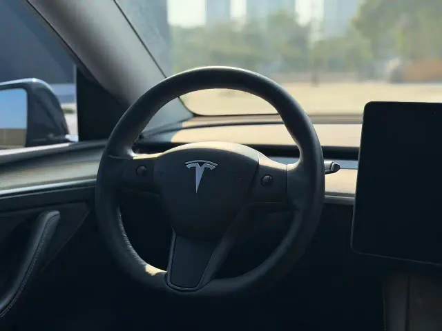Tesla Model Y — Фото автомобиля 10
