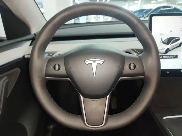 Tesla Model Y — Фото автомобиля 10