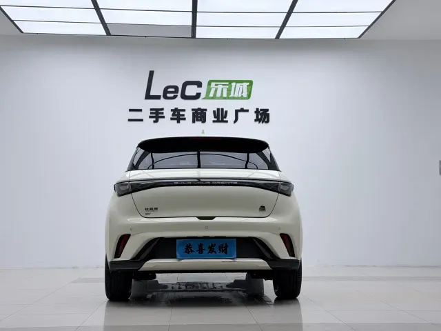 BYD Dolphin — Фото автомобиля 10