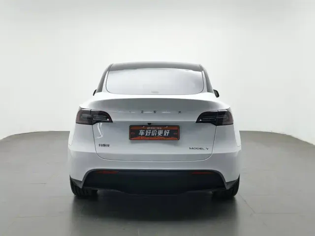 Tesla Model Y — Фото автомобиля 4