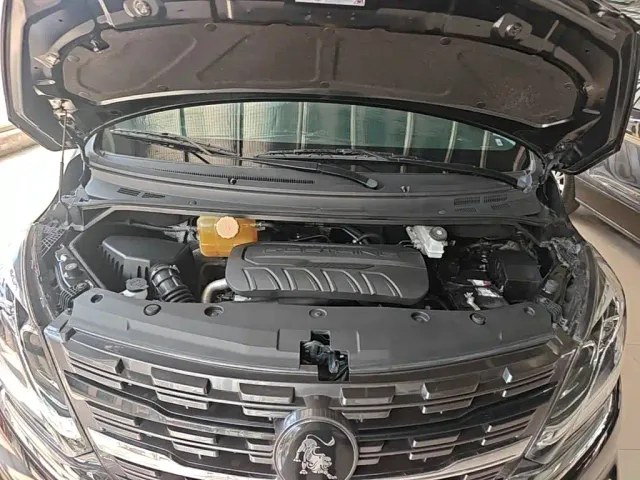 Forthing Fengxing M7 — Фото автомобиля 19