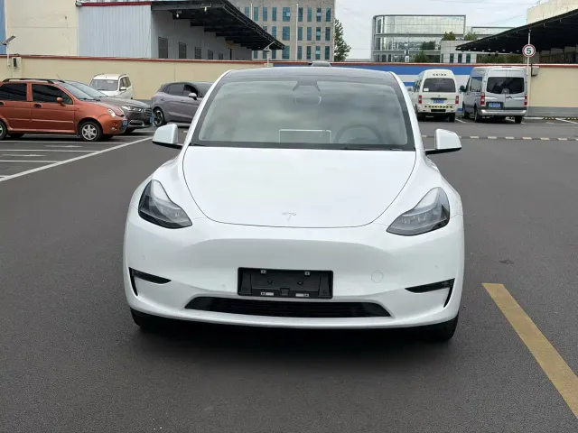Tesla Model Y — Фото автомобиля 2