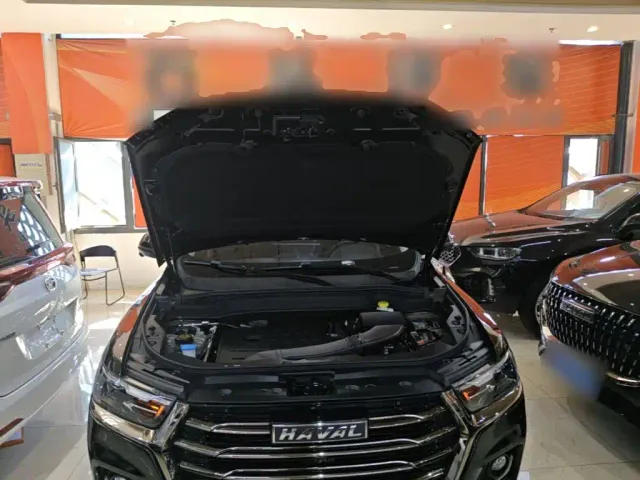 Haval H6 — Фото автомобиля 19