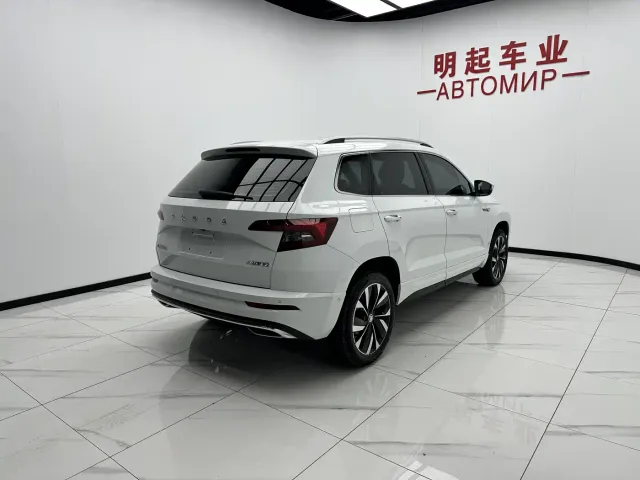 Skoda Karoq — Фото автомобиля 9