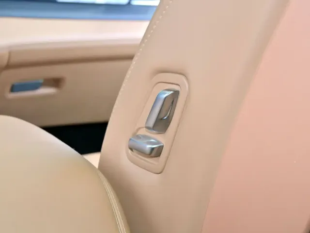 Li Auto Li ONE 2021 Extended Range 6-Seater — Фото автомобиля 18