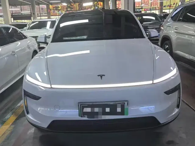 Tesla Model Y — Фото автомобиля 2