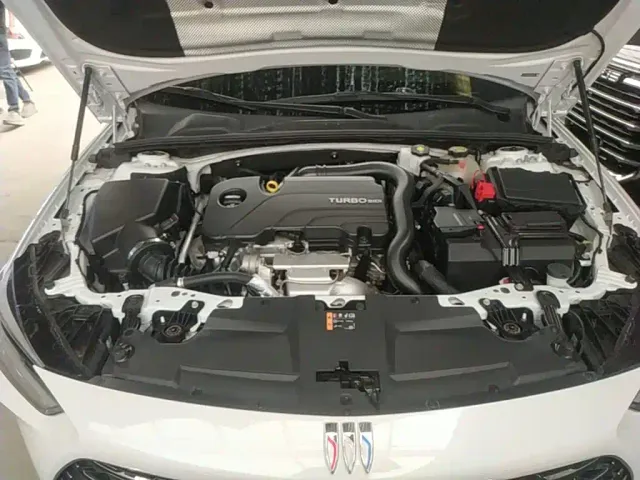 Buick Regal — Фото автомобиля 19