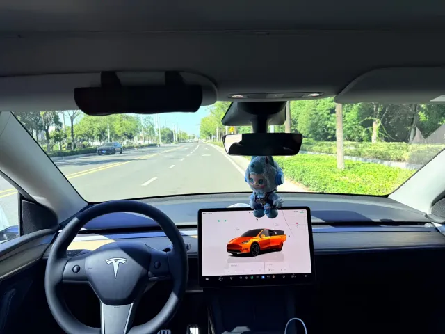 Tesla Model Y — Фото автомобиля 9