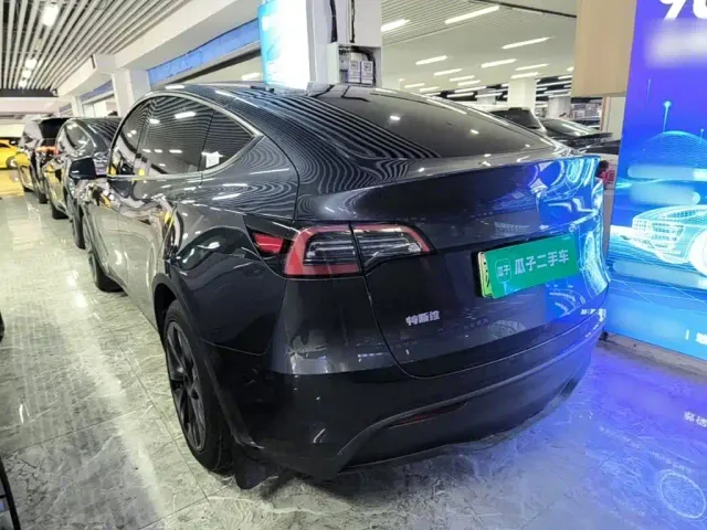 Tesla Model Y — Фото автомобиля 5