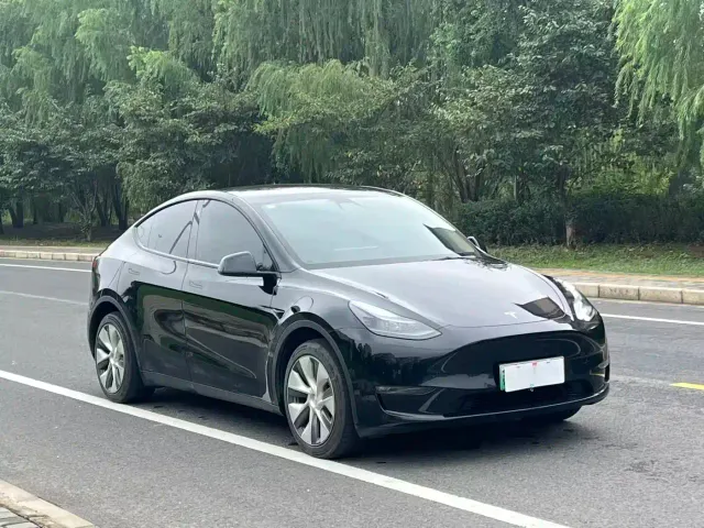 Tesla Model Y — Фото автомобиля 2